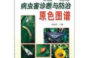 柑橘病蟲害圖譜與用藥時間_辛菌胺醋酸鹽能防柑橘潰瘍病嗎