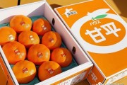 甘平柑橘種植技術(shù)_增強(qiáng)人體免疫力的蔬菜有哪些 甘平柑橘種植技術(shù)_增強(qiáng)人體免疫力的蔬菜有哪些