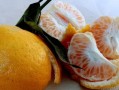 百菌清主治柑橘哪些病害（百菌清在柑橘的應用）