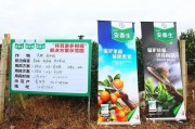 柑橘種植技術(shù)與管理圖片_柑橘有花無梢如何管理