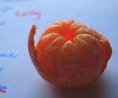 柑桔施肥時(shí)間方法的科學(xué)管理技巧及高效栽培指南