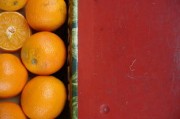 貓可以吃橘子橙子嗎（貓可以吃橘子橙子嗎為什么）