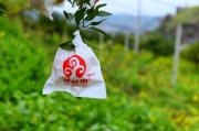 柑橘樹無公害種植技術(shù)_為了減少污染最好采取什么辦法防治害蟲呢 柑橘樹無公害種植技術(shù)_為了減少污染最好采取什么辦法防治害蟲呢