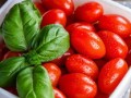 耙耙柑愛媛樹苗種植指南：選苗技巧與豐收管理全解析