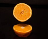 沃柑怎么有橙子香味？揭秘柑橘家族香氣相通的奧秘