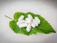 最抗凍柑橘品種什么？中國北方耐寒柑橘推薦榜單解析