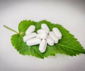 最抗凍柑橘品種什么？中國北方耐寒柑橘推薦榜單解析