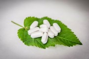 最抗凍柑橘品種什么？中國(guó)北方耐寒柑橘推薦榜單解析
