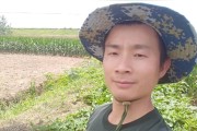 柑橘哪些病蟲害不能用藥_吡唑醚菌酯在柑橘的最佳使用時(shí)間
