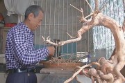 廣東揭陽柑橘種植技術(shù)_潮汕地區(qū)人口有多少人