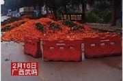沃柑橘子種植技術(shù)視頻_沙糖桔內(nèi)膛小枝可以剪掉嗎