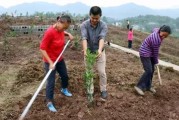 柑橘種植技術(shù)有聲書籍_幼樹6月可以追尿素嗎 柑橘種植技術(shù)有聲書籍_幼樹6月可以追尿素嗎