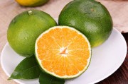 柑橘掛果樹需要噴什么藥（柑橘樹打什么藥能催花）