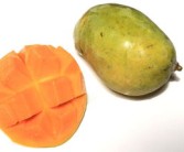 柑橘潰瘍病治療效果好產(chǎn)品什么（柑橘潰瘍病用什么藥治）