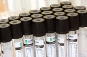 柑橘新品種如何研發(fā)：關鍵科學方法與技術路徑全解析
