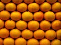 柑橘果子黑點(diǎn)病有何防治方法（柑橘小黑點(diǎn)）
