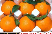 愛(ài)媛38的特點(diǎn)是什么(愛(ài)媛28與愛(ài)媛38的區(qū)別優(yōu)劣)