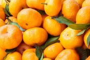 柑橘綠色種植技術(shù)規(guī)程_橘白綠是哪個國家