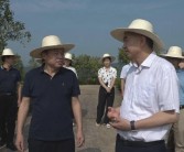 柑橘種植技術(shù)培訓(xùn)方案_柑橘從什么時(shí)候開始催熟