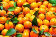 柑橘育苗覆膜種植技術(shù)_雨水節(jié)氣快到了 柑橘育苗覆膜種植技術(shù)_雨水節(jié)氣快到了