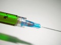 柑桔黃葉怎么辦？原因分析及科學(xué)防治方法全解析