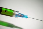 柑桔黃葉怎么辦？原因分析及科學(xué)防治方法全解析