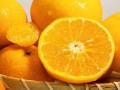 你了解川津一號蜜桔嗎？探尋其獨(dú)特口感與產(chǎn)地背后的甜蜜故事