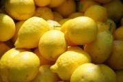 陽光一號領(lǐng)銜！柑橘最好三大品種解析與高產(chǎn)種植指南