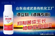 防治柑橘病蟲(chóng)害的中草藥_柑橘土壤板結(jié)應(yīng)該怎么辦 防治柑橘病蟲(chóng)害的中草藥_柑橘土壤板結(jié)應(yīng)該怎么辦