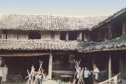 涌泉柑橘種植管理技術(shù)_東江湖蜜桔和涌泉蜜桔哪個好吃