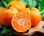 眉山柑橘產(chǎn)業(yè)發(fā)展歷史探秘：三十載耕耘鑄就現(xiàn)代果業(yè)興農(nóng)之路