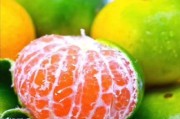 桂林特早柑橘種植技術(shù)_很多人盲目跟風(fēng)種植殺人橘子 桂林特早柑橘種植技術(shù)_很多人盲目跟風(fēng)種植殺人橘子