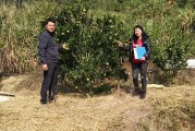 柑橘病蟲害防治技術(shù)月歷表_柑橘過了年多久清園