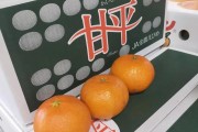 甘平柑橘種植管理技術(shù)_種植柑橘要選擇什么樣的苗木比較好
