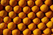 椪柑橘子哪個(gè)貴（椪柑和橘子哪個(gè)貴）