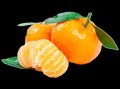 脆皮金桔苗多少錢(qián)一斤（脆皮金桔種植技術(shù)）