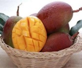 柑橘的種植養(yǎng)護(hù)方法和技術(shù)_柑桔的需肥特點是什么