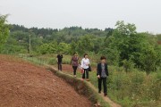 雙橋柑橘種植技術(shù)視頻_南充打造現(xiàn)代農(nóng)業(yè)園區(qū) 雙橋柑橘種植技術(shù)視頻_南充打造現(xiàn)代農(nóng)業(yè)園區(qū)