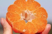 柑橘愛媛30的病蟲害防治_自產直銷可行嗎