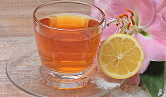 柑橘小樹(shù)冬季修剪技術(shù)視頻（柑橘小樹(shù)冬季修剪技術(shù)視頻大全）