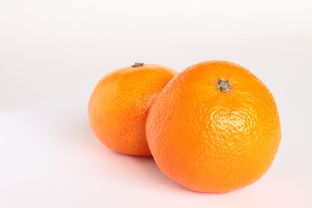 柑橘春季植保農(nóng)藥（柑橘全程植保技術(shù)方案）
