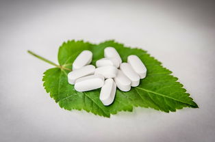 柑橘病害識別圖譜（柑橘病害圖解）