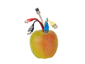 新品種柑橘苗木種植技術要求（柑橘種植技術規(guī)程）