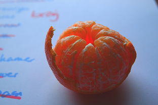 環(huán)割柑橘果樹(shù)佳時(shí)間幾月（柑橘環(huán)割技術(shù)視頻）