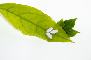 柑橘細(xì)菌性病害圖片(柑橘細(xì)菌性黃點(diǎn)?。? /></p><p>柑橘病害主要侵害葉片、新梢和果實(shí),尤其對幼嫩組織有較強(qiáng)的侵染力。葉片染病初期呈現(xiàn)蠟黃色油漬狀斑點(diǎn),隨后逐漸擴(kuò)大形成灰白色至暗褐色圓錐狀瘡痂,病斑逐漸木質(zhì)化并凸起,葉背凸出,葉面凹陷(圖5-1)。新梢染病與葉片癥狀相似,呈現(xiàn)類似病態(tài)。</p><p>柑橘潰瘍病 危害特征包括葉片染?。撼跗谌~背出現(xiàn)黃色或暗黃綠色油浸狀小斑點(diǎn),后葉兩面隆起,出現(xiàn)米黃色圓形病斑,不久后病斑表皮破裂成海綿狀,木栓化,淡褐色,中央灰白色,后期病部中央凹陷呈火山口狀裂開,周圍有一圈黃暈。</p><p>砂皮病,柑橘樹染病后導(dǎo)致枝葉凋萎或整株枯死。初期果蒂附近出現(xiàn)水漬狀、淡褐色病斑,后變?yōu)樯詈稚?,擴(kuò)大到臍部,先爛果心,最后全果腐爛,故有“穿心爛”之稱,病果皮堅(jiān)韌,有革質(zhì)感。</p><p>柑橘立枯病在全國柑橘種植區(qū)普遍發(fā)生,是柑橘幼苗期的重要病害。該病主要為害剛出土的幼苗,引起砧木苗大量死亡,造成缺苗,影響苗木生產(chǎn)。該病田間常見的癥狀有3種:(1)典型癥狀。病苗莖部及莖部近地面部分,出現(xiàn)褐色水漬狀病斑,后逐漸擴(kuò)大,并環(huán)繞莖部縊縮腐爛。</p><h2 id='常見的14種柑橘病蟲害及其防治方法(上)'>常見的14種柑橘病蟲害及其防治 *** (上)</h2><p>1、加強(qiáng)栽培管理,增施有機(jī)肥和多元復(fù)合肥,避免偏施氮肥,增強(qiáng)樹勢。(2)加強(qiáng)修剪,清除病源,減少衰退枝、病蟲枝、弱枝,改善樹體通風(fēng)造光條件。(3)做好抗旱、排澇和抗凍工作,避免或減輕自然災(zāi)害對樹體的傷害。</p><p>2、柑橘常見病蟲害及其防治 *** 如下:常見病蟲害 潰瘍?。褐饕:θ~片、果實(shí)和新梢,導(dǎo)致葉片膨大、形成病斑,果實(shí)受損后可能脫落,枝條枯萎。結(jié)痂?。喝~片上出現(xiàn)灰褐色痂樣斑點(diǎn)并扭曲變形,樹枝短小扭曲,幼果受損后早落、畸形。</p><p>3、柑橘瘡痂病:主要危害葉片、新梢和幼果,葉片易扭曲畸形,新梢則變短小且有扭曲狀,果實(shí)小且皮厚,可用70%甲基托布津800-1000倍液防治。柑橘潰瘍?。褐ι視杏蜐n狀小圓點(diǎn),發(fā)病嚴(yán)重時(shí)易枯死,可用乙酸銅防治。</p><p>4、柑橘紅蜘蛛當(dāng)柑橘每葉有蟲6頭時(shí)應(yīng)噴藥防治,可選用礦物油乳油200~ *** 倍液、0%阿維菌素乳油1000~1500倍液等噴霧防治。柑橘潛葉甲該蟲一年發(fā)生1代,春梢期是為害盛期,也是防治主要時(shí)期。</p><p style=